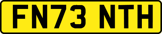 FN73NTH