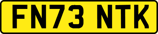 FN73NTK