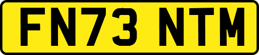 FN73NTM