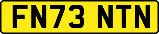 FN73NTN