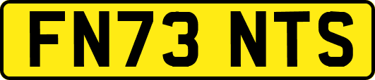 FN73NTS