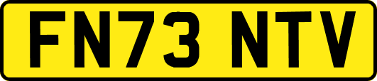 FN73NTV