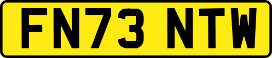 FN73NTW
