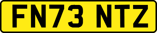 FN73NTZ