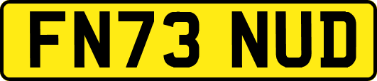 FN73NUD