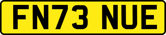 FN73NUE