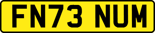 FN73NUM