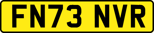 FN73NVR