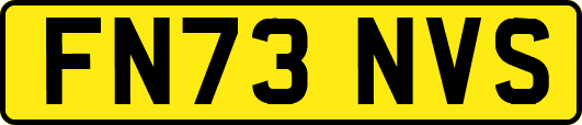 FN73NVS