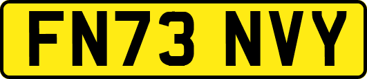 FN73NVY