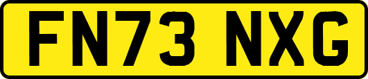 FN73NXG