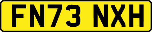 FN73NXH