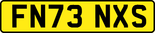 FN73NXS