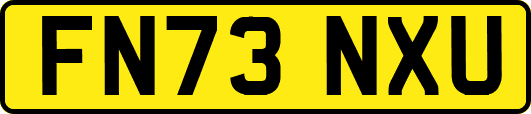 FN73NXU