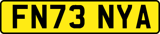 FN73NYA