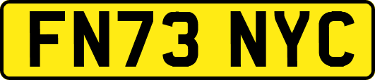 FN73NYC