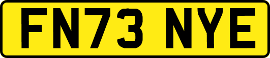 FN73NYE