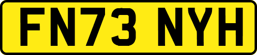 FN73NYH