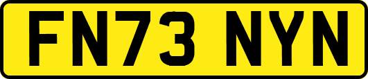 FN73NYN