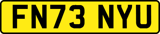 FN73NYU