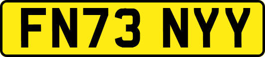 FN73NYY