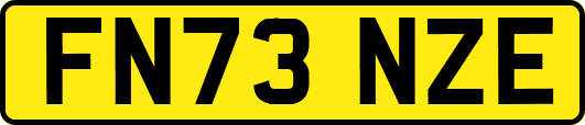 FN73NZE