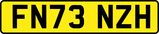FN73NZH