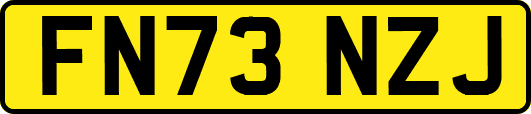 FN73NZJ
