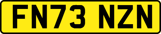 FN73NZN