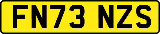 FN73NZS