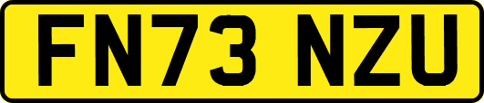 FN73NZU