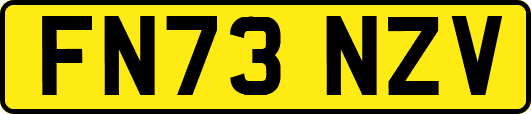 FN73NZV