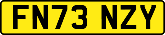 FN73NZY