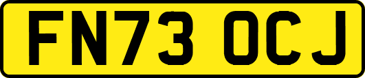 FN73OCJ
