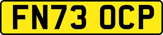 FN73OCP