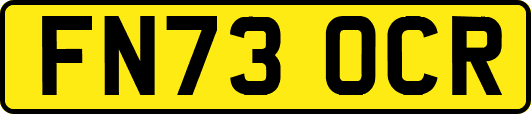 FN73OCR