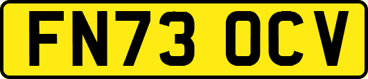 FN73OCV
