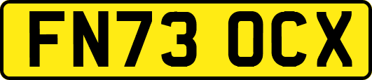 FN73OCX