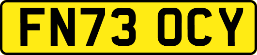 FN73OCY