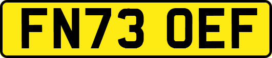 FN73OEF