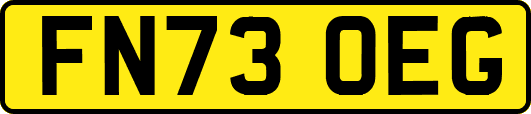 FN73OEG