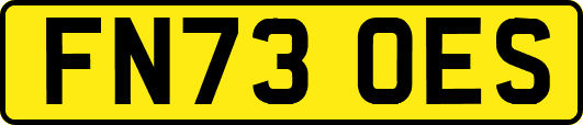 FN73OES