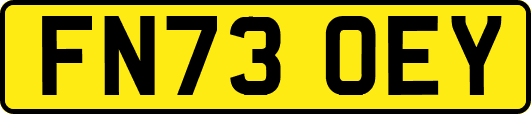 FN73OEY