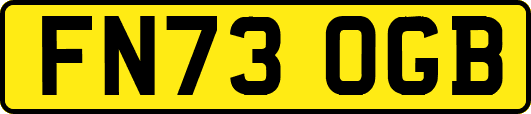 FN73OGB