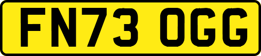 FN73OGG