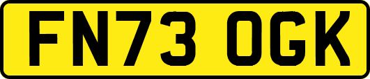FN73OGK