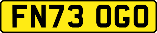 FN73OGO