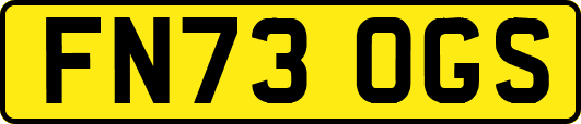 FN73OGS