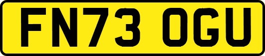 FN73OGU