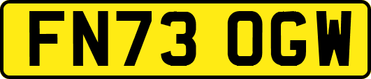 FN73OGW
